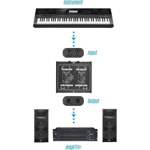 Professional DIRECT BOX Dual-Channel Passive DI-Box Direct Injection Box Balanced & Unbalance Signal Converter