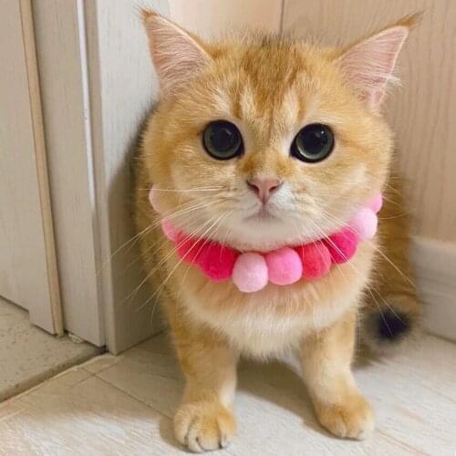 Pet Cat Collar DIY Cat Fur Ball Collar Pompon Pet Collar Cats Dog Dog Cat Products with Elasti Pet Dog Cat Decoration Collar