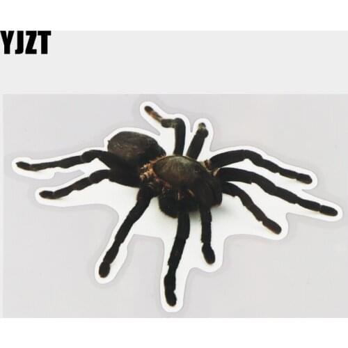 YJZT 16.5×10.3CM Tarantula Funny Animal Car Body Decoration Stickers Personality Vinyl Decals 21A-0449