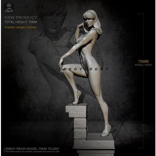 75mm Resin model figure kits beauty self-assembled TD-2507