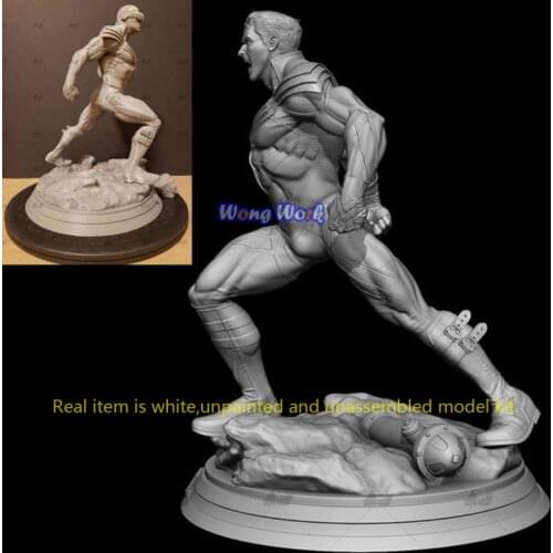 Wong Work Unpainted 1/6 Scale 31cmH 1/4 46cmH 3D Printing Unassembled Garage Kits GK Model Kit Figure Statue TTG-210421-18