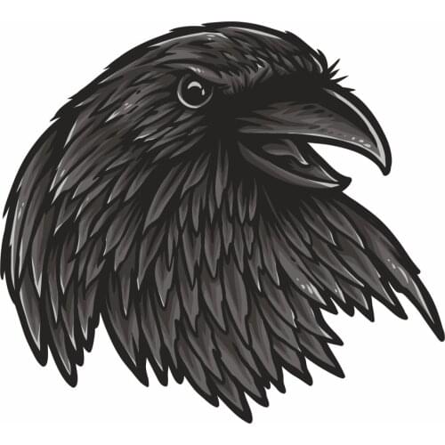 Black Crow Sticker Plane Extreme