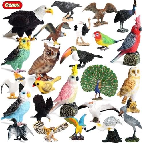 Oenux Bird Animal Parrot Peacock Owl Ostrich Crow Cassowary Model Solid PVC Action Figures Garden Decoration Education Kids Toy