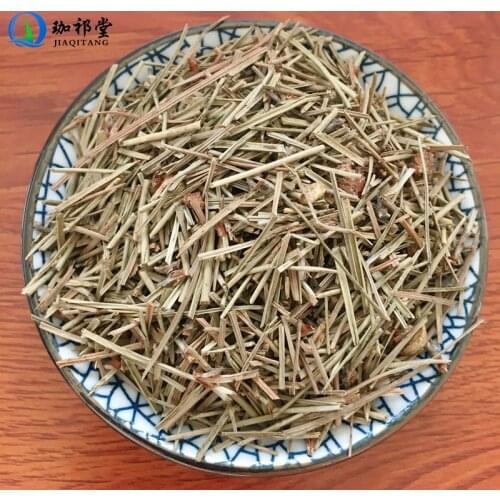 Pine Needle Pine Leaf Folium Pini Song Ye