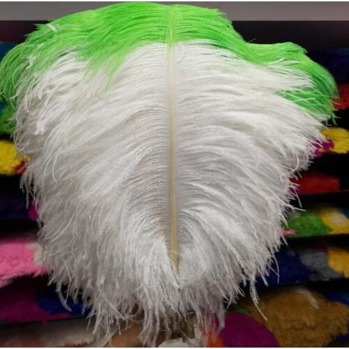 Wholesale 50 pcs White and Green "Thick Stem" Male Ostrich Feathers 24-26inch/60-65cm DIY Jewelry Craft Making Decoration