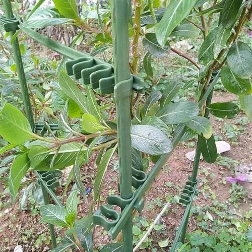 50pcs Cucumber Support Buckle Adjustable Tomato Climbing Vine Plant Trellis Connecting Buckle (Fit for 8mm/11mm Round Tube)