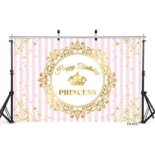 Pink Stripes Golden Circle Princess Photography Backgrounds For Photo Studio Children Baby Party Birthday Custom Name Backdrops