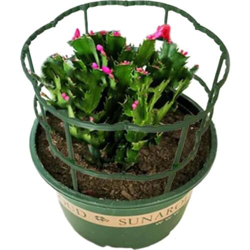 Plant Stake Green Plastic Double Layer Can Be Spliced Anti-lodging Leaf Guard Schlumbergera Sunflower Multilayer Garden Sturdy