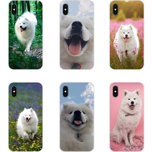 Accessories Phone Shell Covers Animal samoyed Dogs For Samsung Galaxy A3 A5 A7 A9 A8 Star A6 Plus 2018 2015 2016 2017