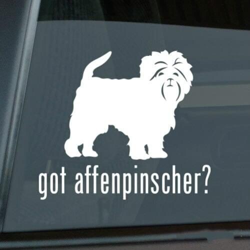 Got Affenpinscher Sticker Die Cut Vinyl - monkey dog window decal Size(inch): 6.00 x 5.24inch