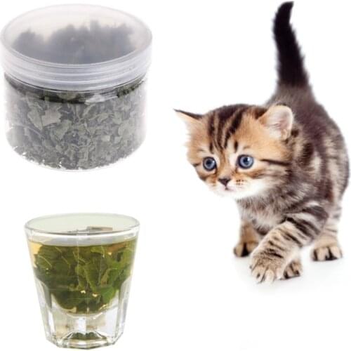 1 Pc Natural Silvervine Leaves Cat Catnip Dried Polygonum Matatabi Toys Flavor Snacks