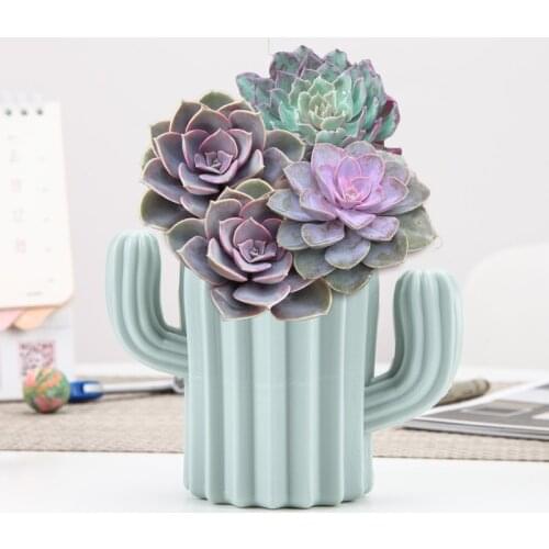 Nordic Cactus Vases Modern Flower Vase Pots Home Interior Decoration Potted Succulent Plastic PE Plant Pen Holder Decorative