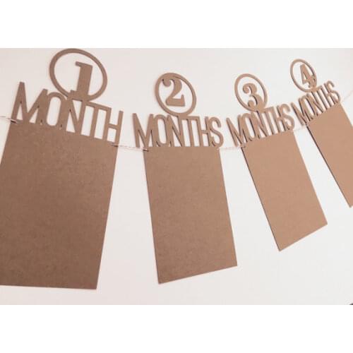 Custom color 1-12 months baby shower First Birthday party garlands Monthly Photo Banners buntings kids photo props decorations