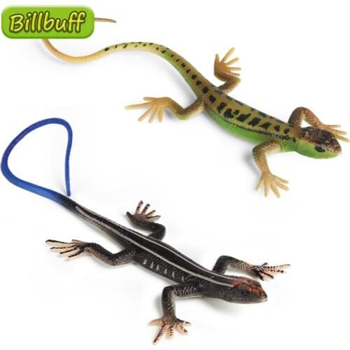 Simulation Reptile Animal PVC Solid Skink Lizard Model Action Figure Collection Miniature Cognition Educational Toy for Children