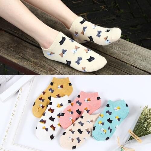 Cute Colorful Cat Cartoon Socks Women Socks Female Funny Cotton Sock Ladies Girls Short Kawaii Animal Socks Summer Low Hosiery