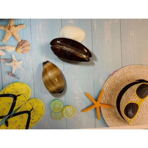 Natural shell floor aquarium landscaping diy hand-decorated wedding decoration