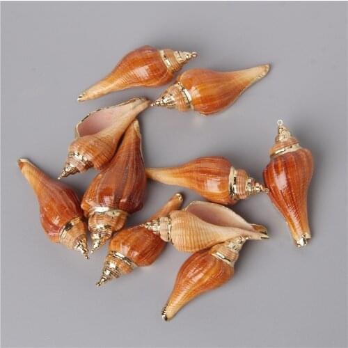 10pcs Natural Irregular Beach Big Conch Shell Sandy Beach Pendants Charm For Jewelry Making Necklace Earring Bracelet Accessorie