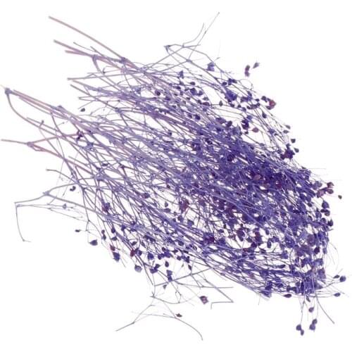 1 1 Box Filling Flower Dry Handmade Flowers DIY Epoxy Resin Filler Crafts Silicone Molds Tools Crystal UV Accessories Decoration