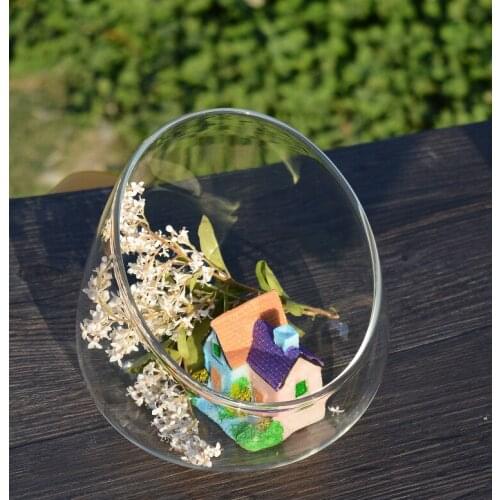 1PC 2 size Oblique mouth glass bottle moss fleshy micro landscape ecological micro landscape bottle glass vase crafts JY 1187