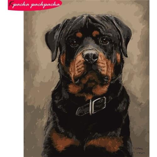 DIY Rottweiler Painting By Numbers Kit No-Frame Oil Paint 19.7x15.7in 24 Colors Acrylic Paint Diff:4 Stars VA-0011