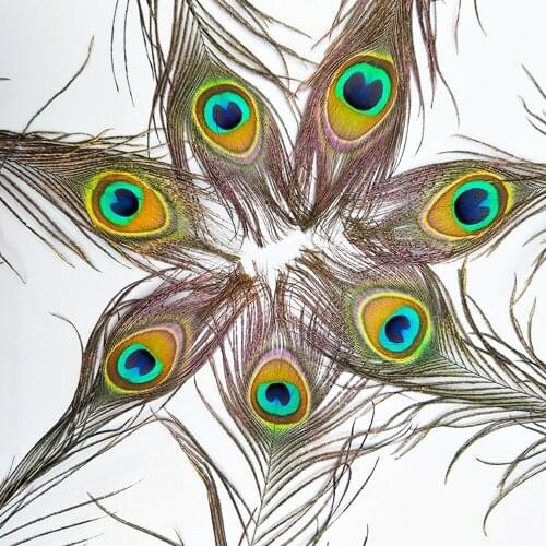 20/30/50PC Natural Real Peacock Feather 25-33CM High Quality Big Eyes Feathers For DIY Jewelry Home Decorative Peacock Plume