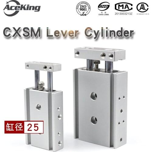 CXSM25 Double pole biaxial cylinder CXSM 25-10/15/20/25/30/35/40/45/50 s small bore with magnetic set-top cylinder CXSM25-75