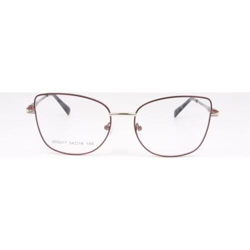 Metal Frame Spring Hinge Eyewear Two-color Plating EyeGlasses