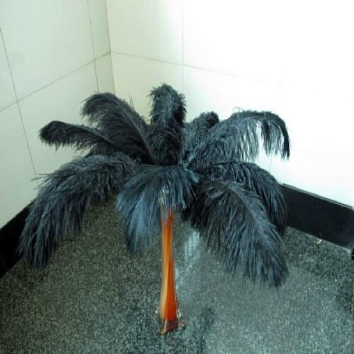 Free shipping 100 PC beautiful natural black ostrich feathers 30 to 35cm / 12 to 14 inches