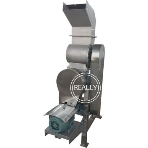 Free shipping to seaport commercial fruit extractor with crusher cold press squeeze juice making machine