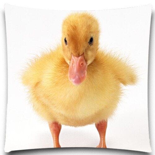 2D Printed Pillow Case cotton polyester Cute animals yellow duck Decorative Square 16 18 20 inch Funny Festival Supply