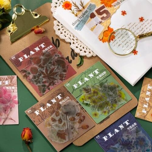 40pcs Vintage Plant Collection Flowers leaves PET sticker package DIY diary Journal decoration sticker album scrapbooking