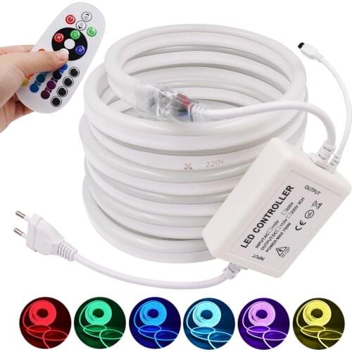 RGB Neon Strip 220V 110V Remote Control Waterproof Neon Rope Lights 2835 5050 120Leds/m Flexible Neon Ribbon DIY Neon Light Sign