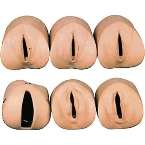 Advanced Medical Labor Delivery Simulator Module Model