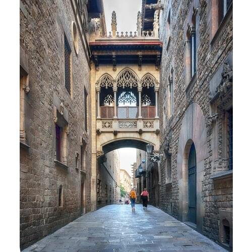 Retro Brick Building Street Photography Background Custom Fond Backdrop for Pets Children Baby Portrait Photocall Photo Studio