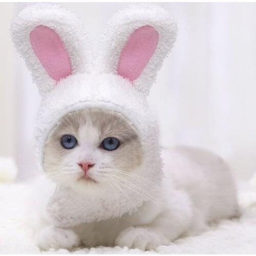 Autumn and Winter Adjustable Cat Hat White Rabbit Cute Warm Shu Velveteen Small and Medium Headgear Supplies Cashmere