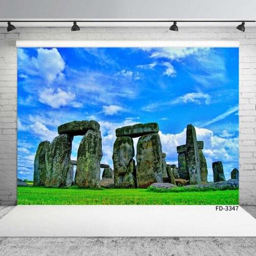 Green Grass Spring Grassland Stone Backdrops Baby Portrait Outdoor Natural Scenic Photography Backgrounds Photocall Photo Studio