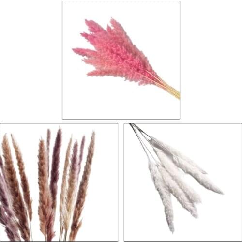 15 Pieces Of Small Reed Feather Bouquet Natural Dried Flowers Pampas Setaria Plant Wedding Bunch Home Holiday Decoration