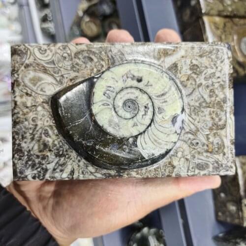 1pcs Natural right Angle fossil Crystal Specimen box Rare Polished Collectible natural stones and minerals home decoration