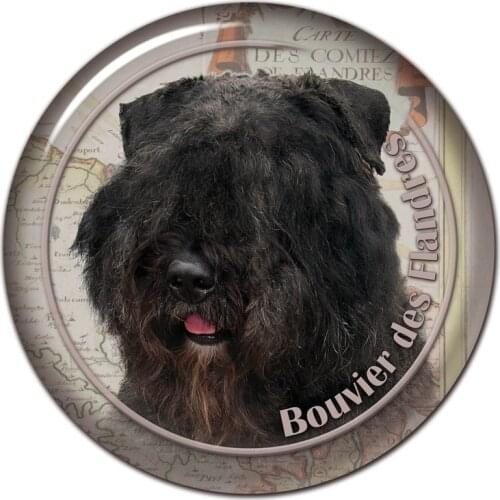 S30462# 13CM/15CM/17CM PVC Decal Bouvier Des Flandres Dog V2 Car Sticker Waterproof for Bumper Rear Window Laptop Toilet