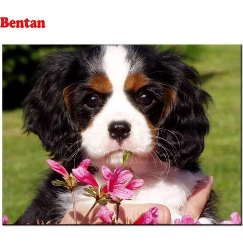 5D DIY Diamond Painting Cavalier king charles spaniel dog Full Square round stone diamond Rhinestone Embroidery Mosaic art