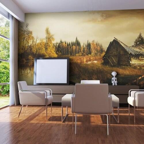 Wall mural-wastelands hut - 450x270 cm