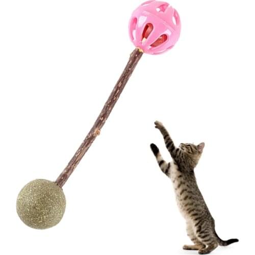 Cat Toys Wooden Interactive Natural Catnip Double Ball Shape Pet Molar Teeth Cat Toy Kitten Bell Ball Toys for Cats