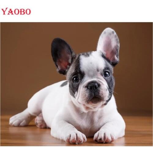 5D DIY Diamond Painting french bulldog puppies Diamond Embroidery Full Drill Square Animal Picture Of Rhinestone Home Decoration