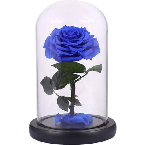 Glass Cover Fresh Preserved Rose Flower Barbed Rose Flores For Wedding Marriage Home Party Decoration ValentineS Day Gift Blue