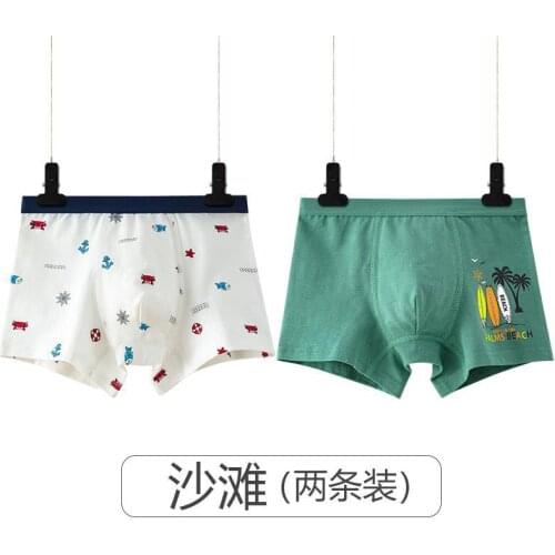 2pcs Cotton Panties Children Fashion Boxer Briefs Kids Underwear for Boys Youth Students Underpant Teen Panty Wholesale