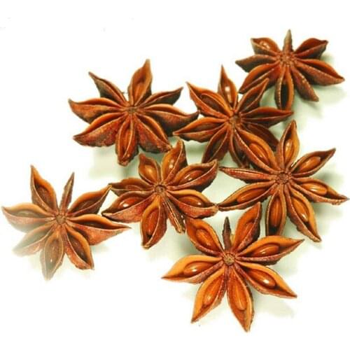 100g free shipping Chinese star anise&Chinese anise