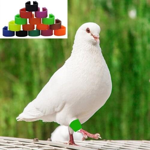 100 Pcs Inner Diameter 8mm Bird Pigeon Foot Ring Ten Colors Without Text Light Weight Freedom Of Action Poultry Ring Bird Carry