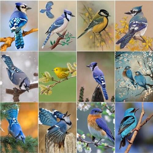 Diamond Painting Full Drill Bird Pictures Home Decor Embroidery Animal Rhinestones Cross Stitch Kits 5D Diy Crafts Gift Handmade