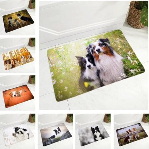 Scotland Border Collie Dog Floor Door Mat for Hallway Kitchen Room Decor Pet Animal Doormat Non-Slip Soft Flannel 40x60cm Rug