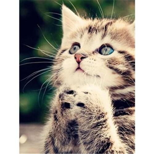 Lovely Cat Animal DIY Embroidery 11CT Cross Stitch Kits Craft Needlework Set Printed Canvas Cotton Thread Home Sale